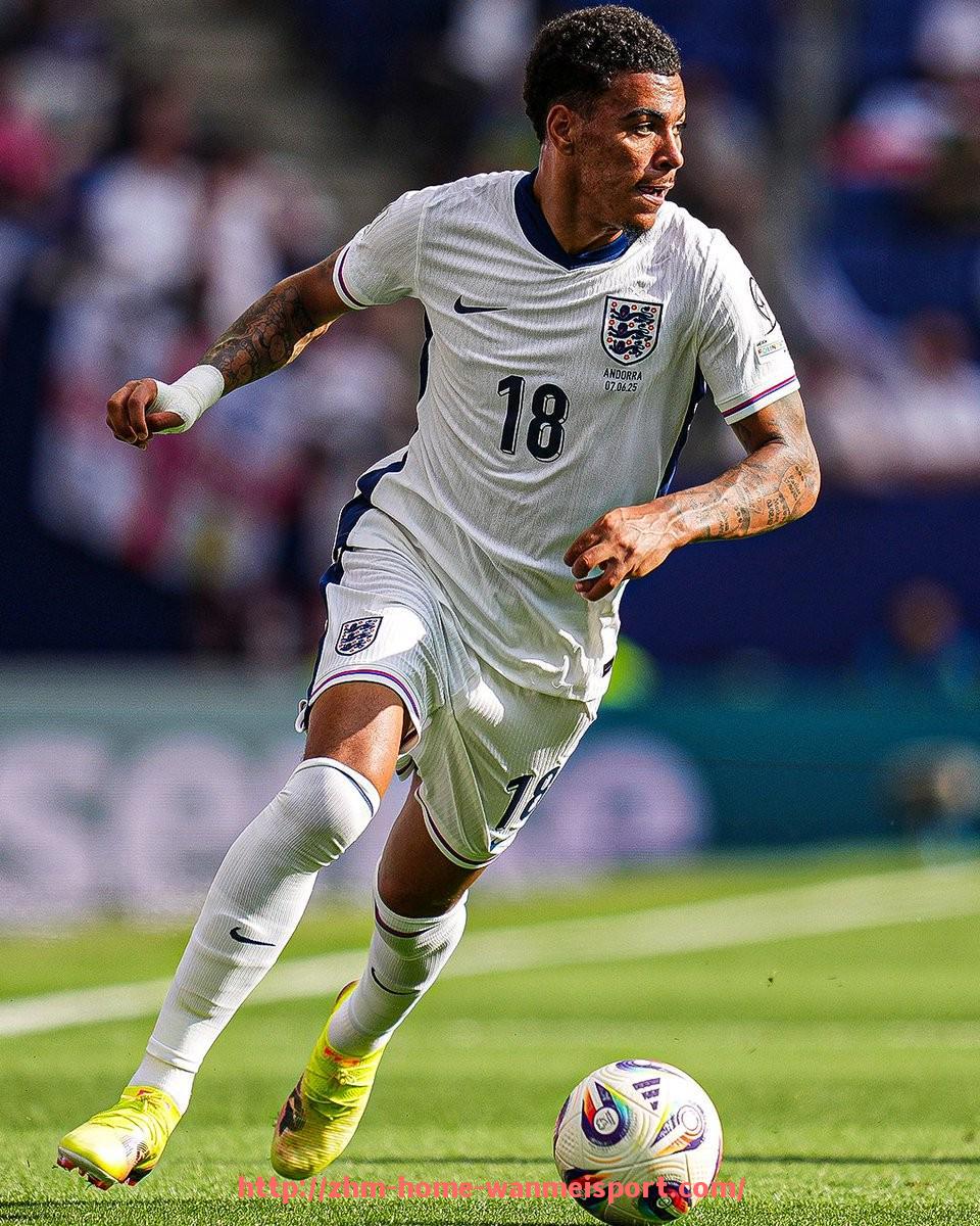 完美体育官方网站-2024赛季法甲球队全面赛季总结报告及表现分析